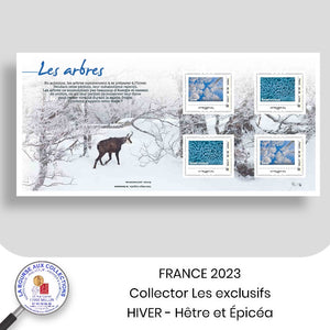 2023 - Collector 4 timbres adhésifs Lettre Verte 20g - Les Exclusifs - HIVER - Hêtre et Epicéa