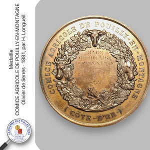 Médaille. COMICE AGRICOLE DE POUILLY-EN-MONTAGNE - Olivier de Serres - 1881, par H. Longueil