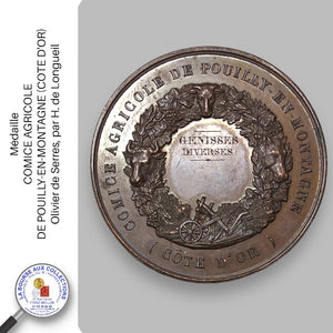 Médaille. COMICE AGRICOLE DE POUILLY-EN-MONTAGNE (COTE D'OR) - Olivier de Serres, par H. de Longueil