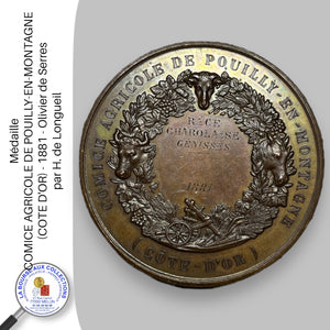 Médaille. COMICE AGRICOLE DE POUILLY-EN-MONTAGNE (COTE D'OR) - 1881 - Olivier de Serres, par H. de Longueil