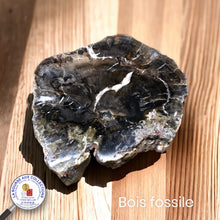 Charger l&#39;image dans la galerie, Tranche de pierre brute - BOIS FOSSILE, qualité A - Madagascar
