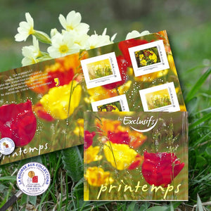 2020 - Collector 4 timbres adhésifs TVP - Les Exclusifs - PRINTEMPS - Primevères
