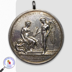 Médaille CONSTITUTION DE LA REPUBLIQUE SUBALPINE à Lyon - An 10 par Mandefrini