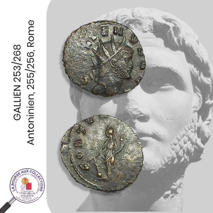 GALLIEN 253/268 - Antoninien, 255/256, Rome