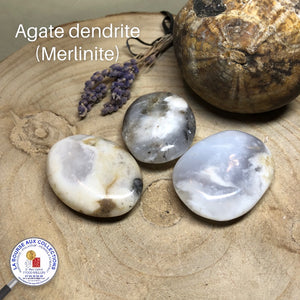 Galet - AGATE DENDRITE (merlinite) - Madagascar