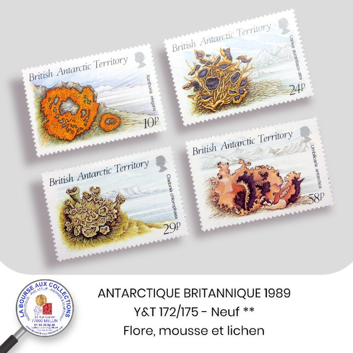 ANTARCTIQUE BRITANNIQUE 1989 - Y&T 172/175 - Flore mousses et lichens - NEUF **