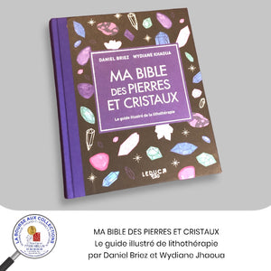 MA BIBLE DES PIERRES ET CRISTAUX - Le guide illustré de lithothérapie par Daniel Briez et Wydiane Jhaoua