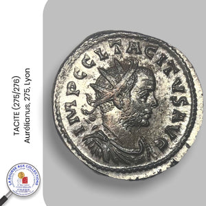 TACITE (275/276) - Aurélianus, 275, Lyon