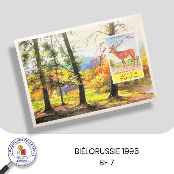 BIELORUSSIE - 1995 - BF 7 - Protection de la nature