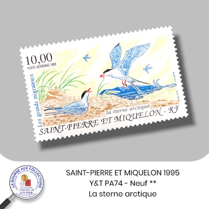 SAINT-PIERRE ET MIQUELON 1995 - Y&T PA74 - La sterne arctique - NEUF **